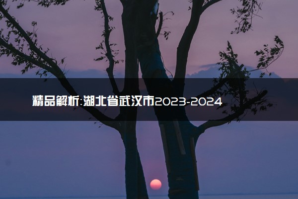 精品解析：湖北省武汉市2023-2024学年高三下学期二月调研考试历史试卷（原卷版）