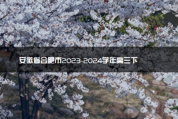 安徽省合肥市2023-2024学年高三下学期一模考试地理试题
