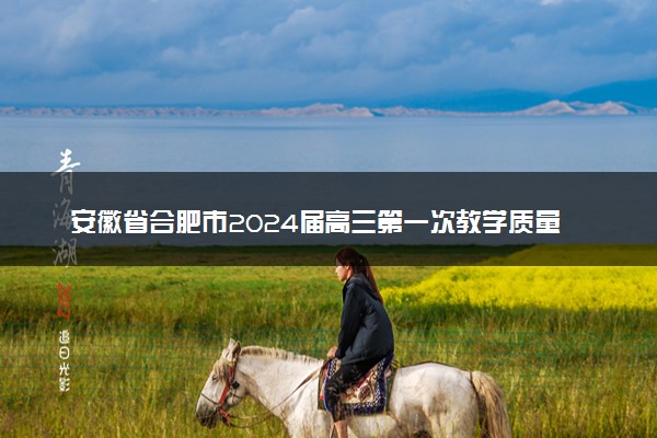 安徽省合肥市2024届高三第一次教学质量检测物理试题
