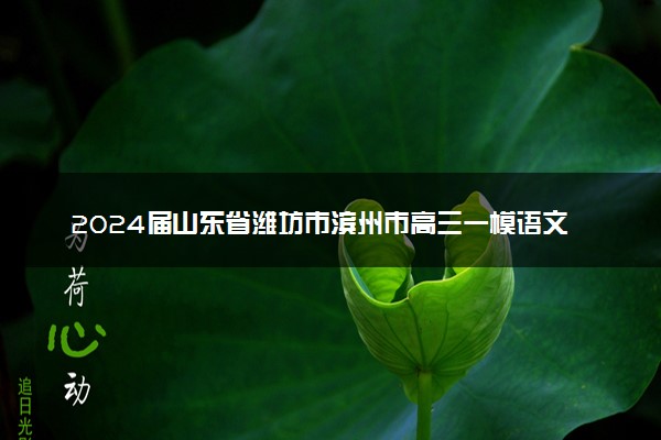 2024届山东省潍坊市滨州市高三一模语文答案