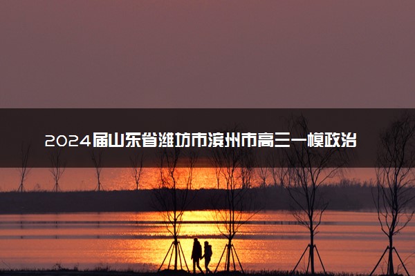 2024届山东省潍坊市滨州市高三一模政治试题