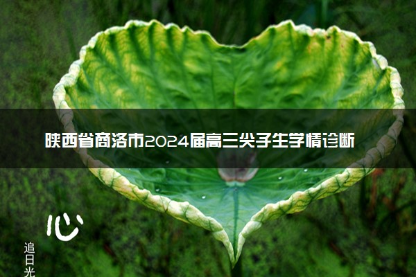 陕西省商洛市2024届高三尖子生学情诊断考试（第二次）英语