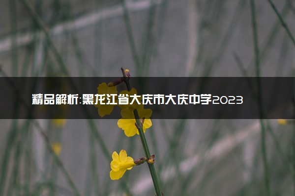 精品解析：黑龙江省大庆市大庆中学2023-2024学年高三下学期开学考试历史试题（解析版）