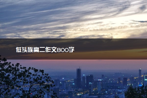 低头族高二作文800字