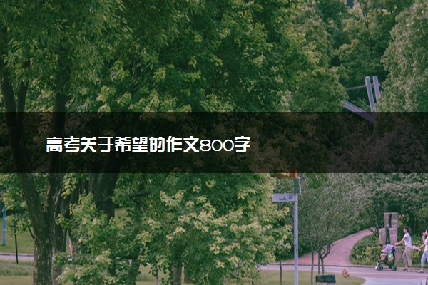 高考关于希望的作文800字