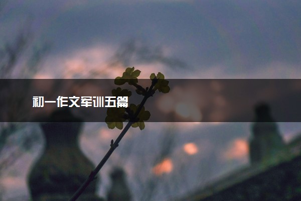初一作文军训五篇
