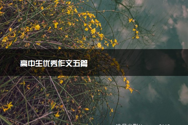 高中生优秀作文五篇