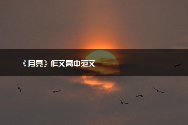 《月亮》作文高中范文