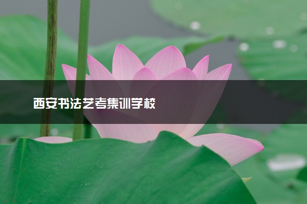 西安书法艺考集训学校