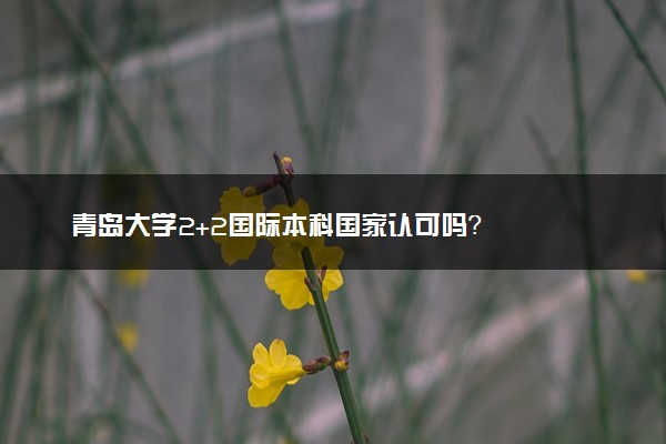 青岛大学2+2国际本科国家认可吗？