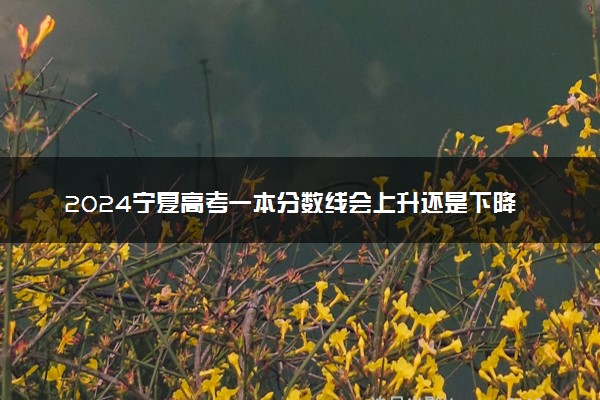 2024宁夏高考一本分数线会上升还是下降 一本线预计多少