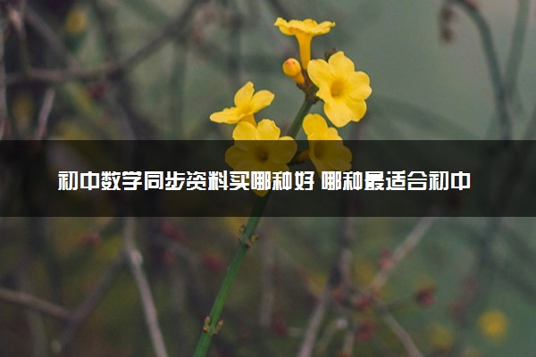 初中数学同步资料买哪种好 哪种最适合初中生