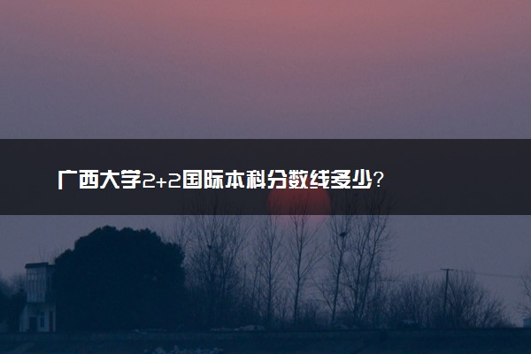广西大学2+2国际本科分数线多少？