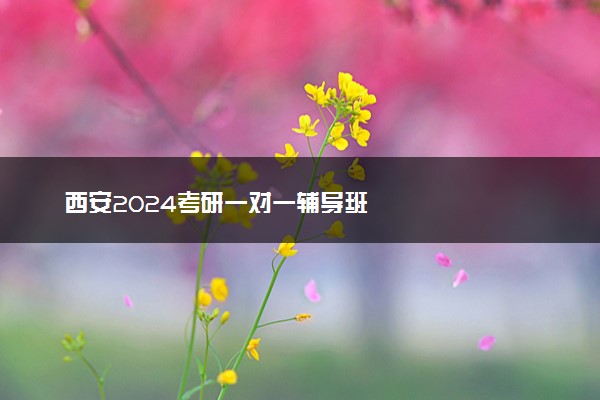 西安2024考研一对一辅导班