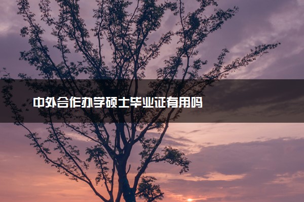 中外合作办学硕士毕业证有用吗