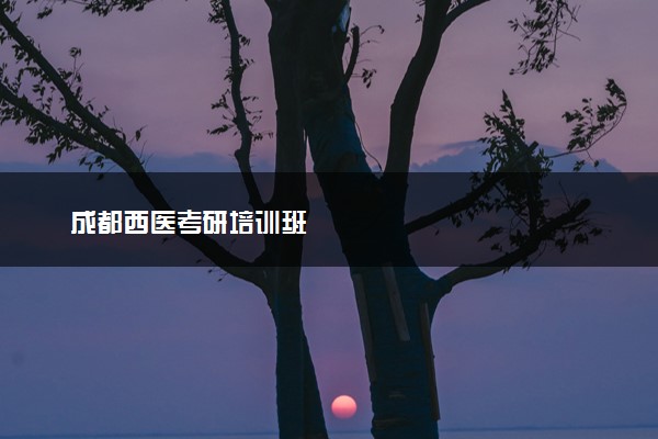 成都西医考研培训班