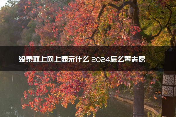 没录取上网上显示什么 2024怎么查志愿录取结果