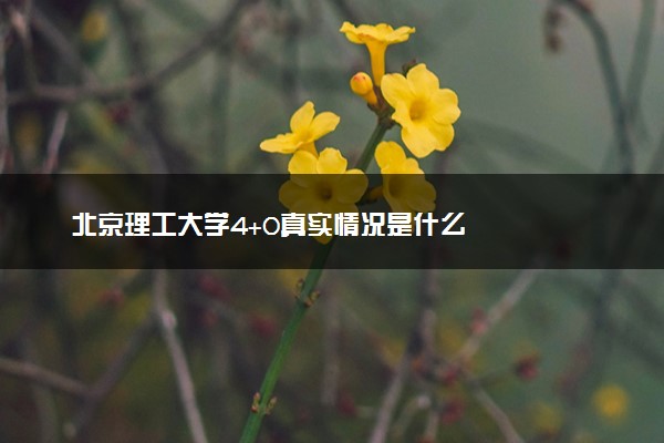 北京理工大学4+0真实情况是什么