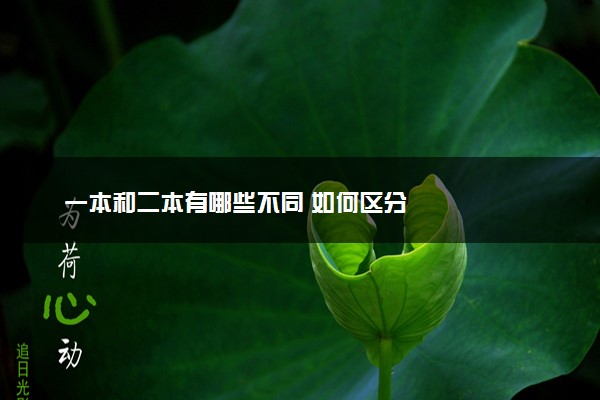 一本和二本有哪些不同 如何区分
