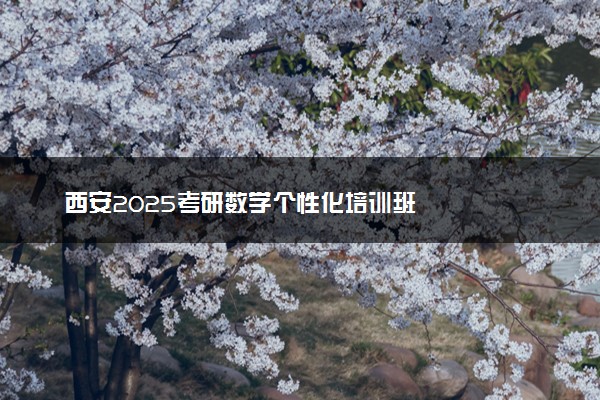 西安2025考研数学个性化培训班