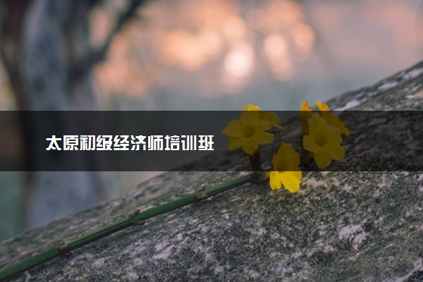 太原初级经济师培训班