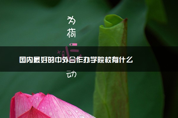 国内最好的中外合作办学院校有什么