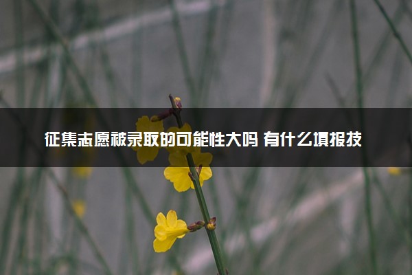 征集志愿被录取的可能性大吗 有什么填报技巧