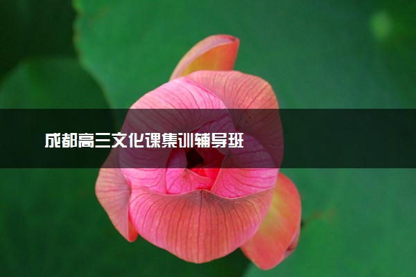 成都高三文化课集训辅导班