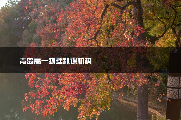 青岛高一物理补课机构