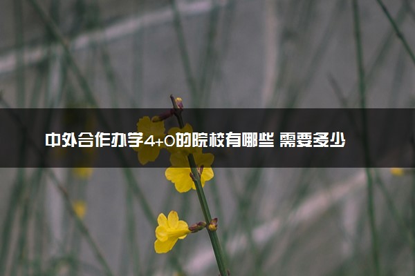 中外合作办学4+0的院校有哪些 需要多少分