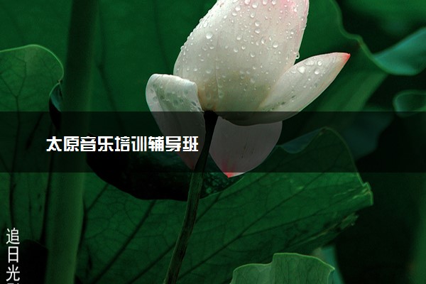 太原音乐培训辅导班