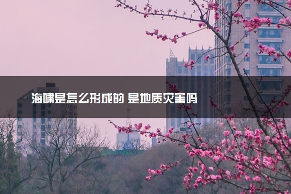 海啸是怎么形成的 是地质灾害吗