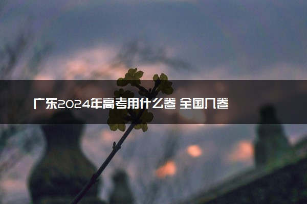 广东2024年高考用什么卷 全国几卷