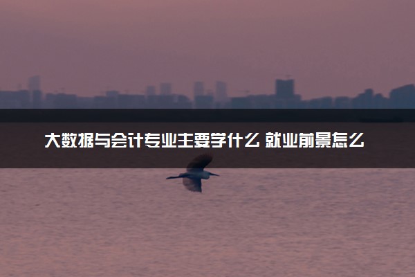 大数据与会计专业主要学什么 就业前景怎么样