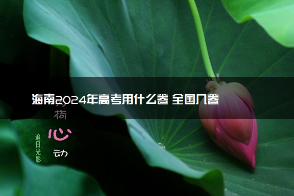 海南2024年高考用什么卷 全国几卷