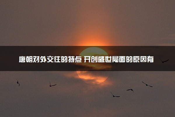 唐朝对外交往的特点 开创盛世局面的原因有哪些