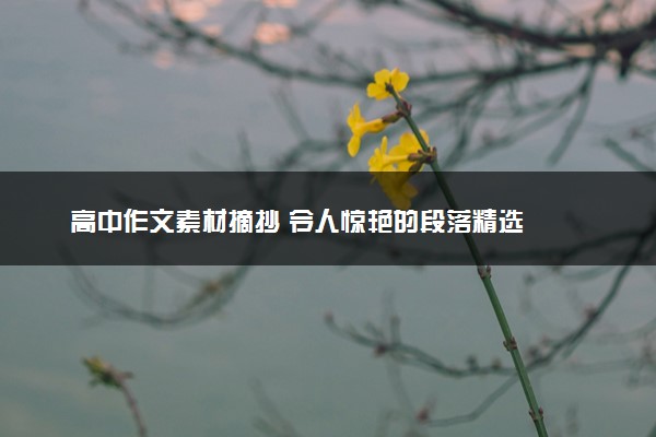 高中作文素材摘抄 令人惊艳的段落精选