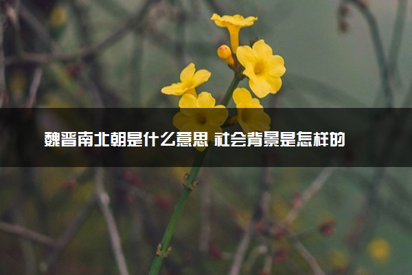 魏晋南北朝是什么意思 社会背景是怎样的