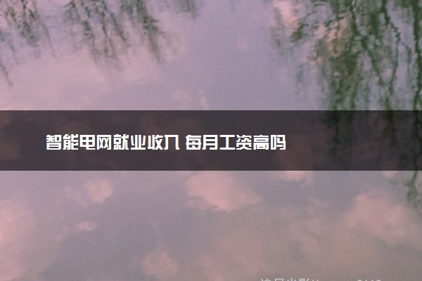 智能电网就业收入 每月工资高吗