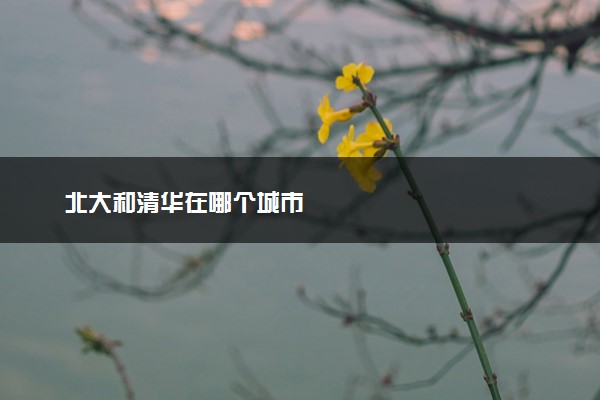 北大和清华在哪个城市