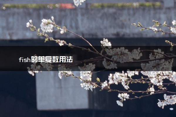 fish的单复数用法