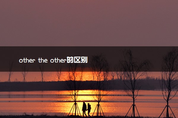 other the other的区别