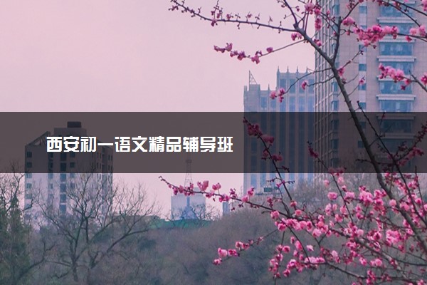 西安初一语文精品辅导班