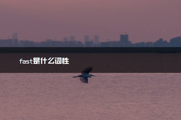 fast是什么词性