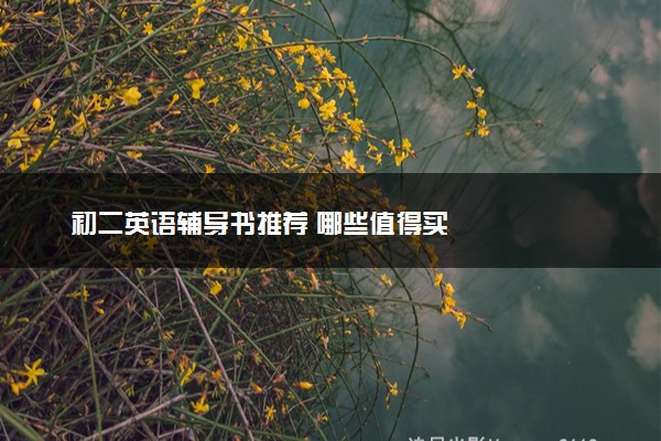 初二英语辅导书推荐 哪些值得买