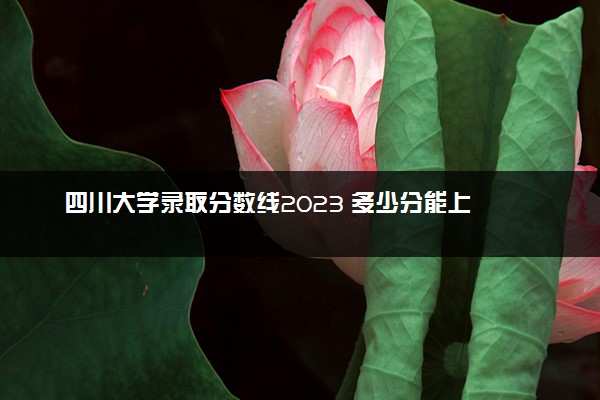 四川大学录取分数线2023 多少分能上