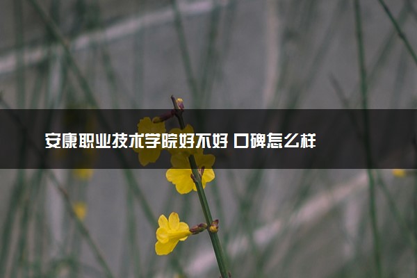 安康职业技术学院好不好 口碑怎么样