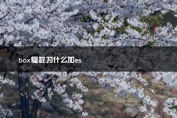 box复数为什么加es