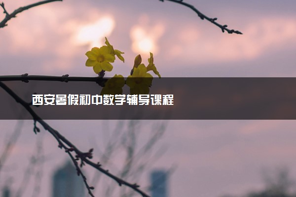 西安暑假初中数学辅导课程