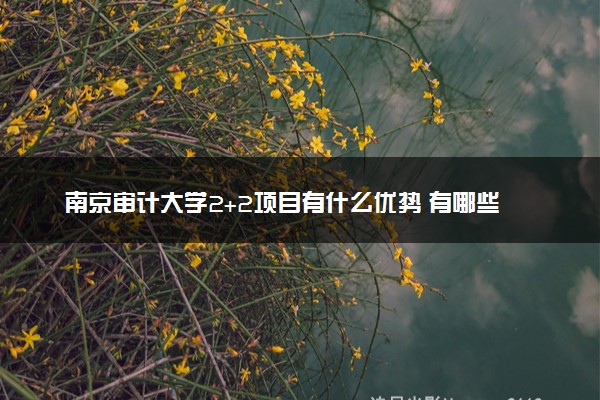 南京审计大学2+2项目有什么优势 有哪些专业